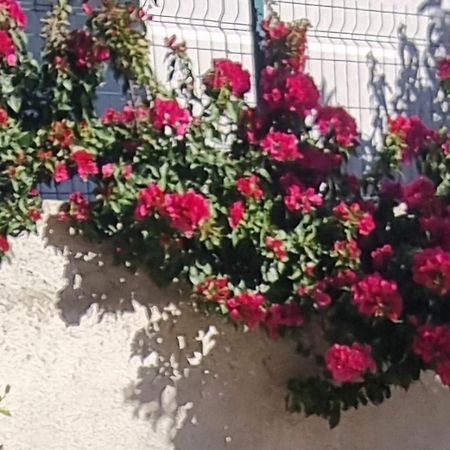 Vila Megi-Rent Room Vlorë Buitenkant foto
